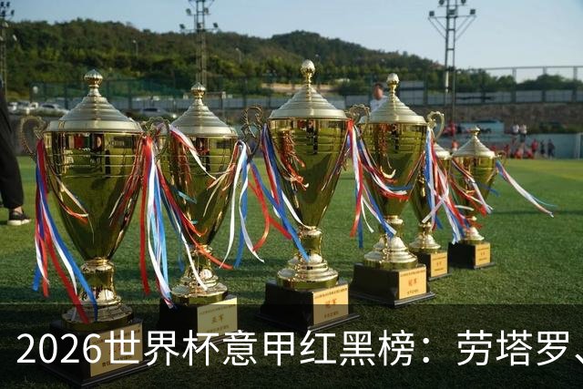 2026世界杯意甲红黑榜：劳塔罗、普利西奇、CDK谁是笑到最后的人